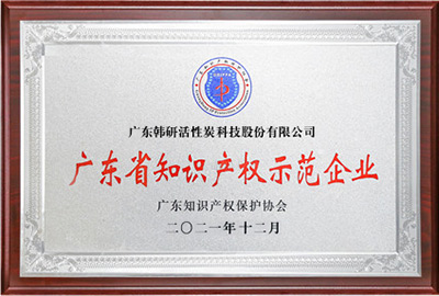 廣東省知識產(chǎn)權(quán)示范企業(yè)